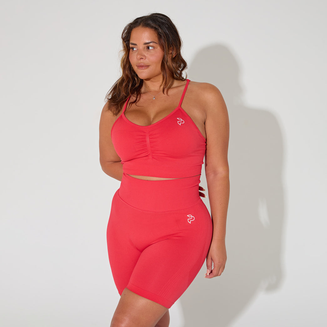 Red High Support Sports Bra